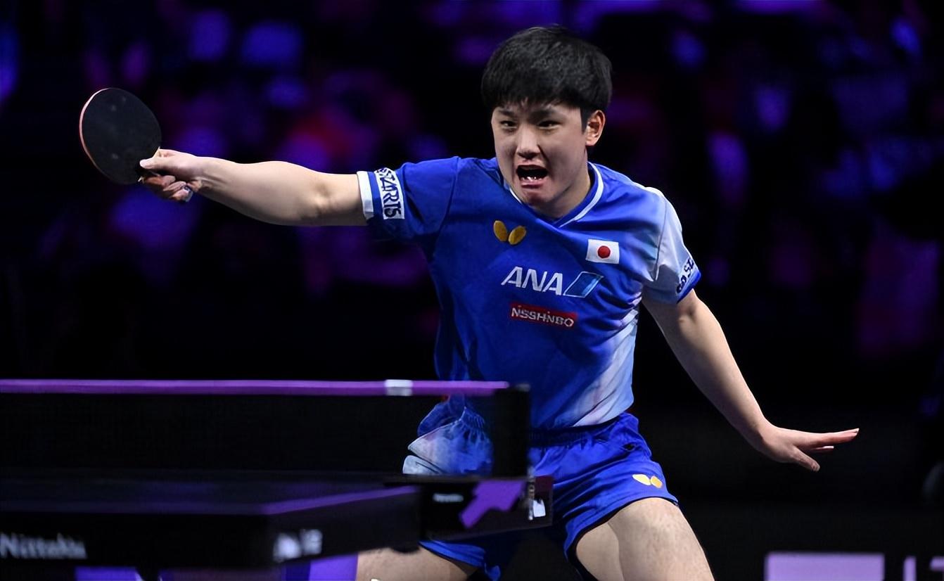 独具特色 独具特色