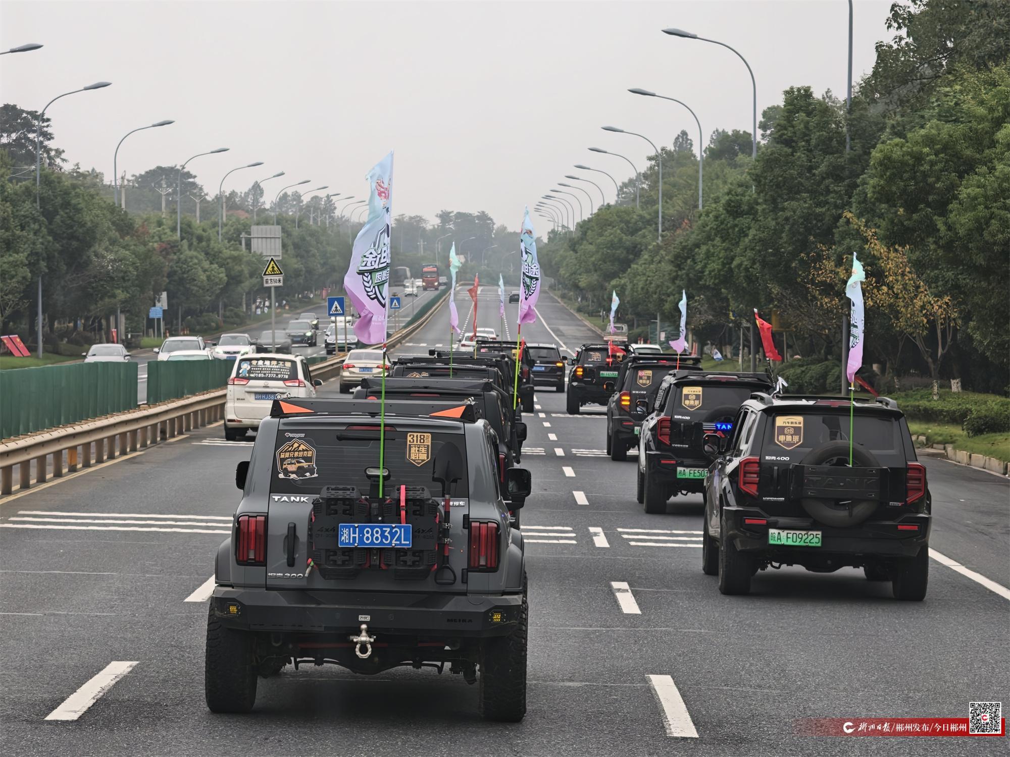 迷热情相迎 迷热情相迎