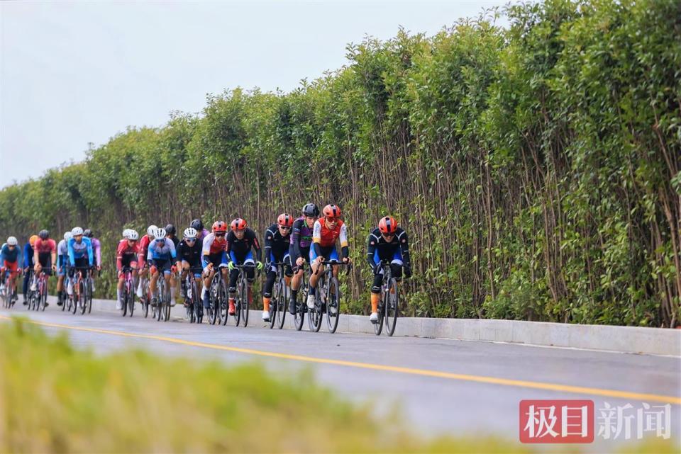 公开报名及 公开报名及